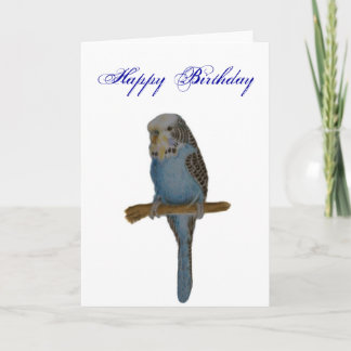 Blue Budgie Kaart