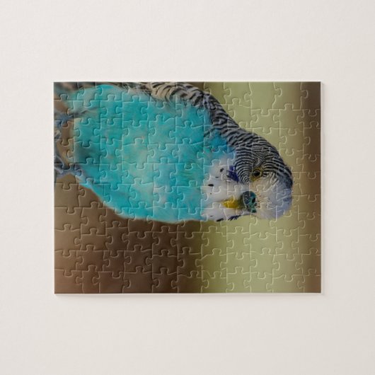 Blue Budgie Legpuzzel (Horizontaal)