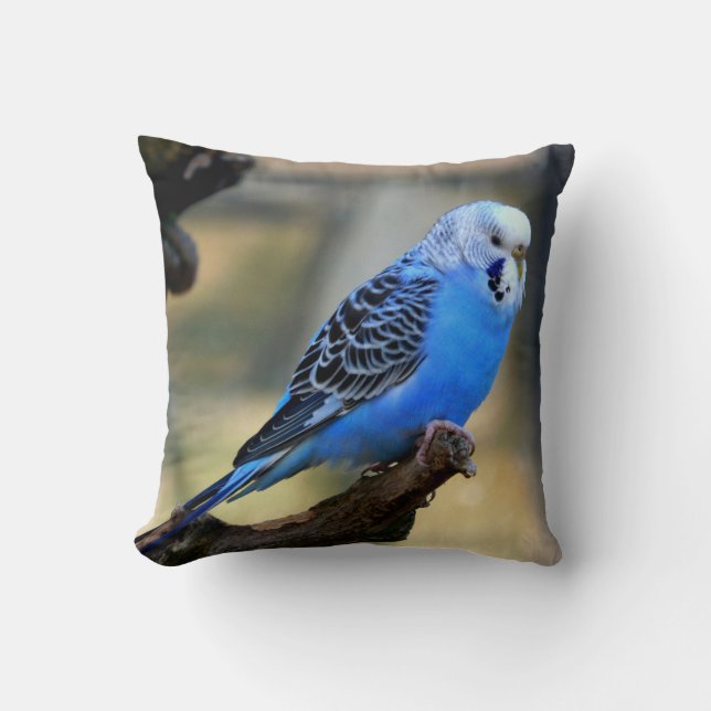 Blue Budgie Parrot Bird Kussen (Voorkant)