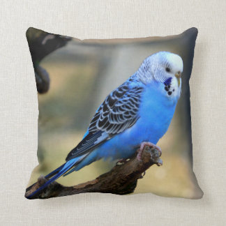 Blue Budgie Parrot Bird Kussen
