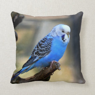 Blue Budgie Parrot Paraket Kussen