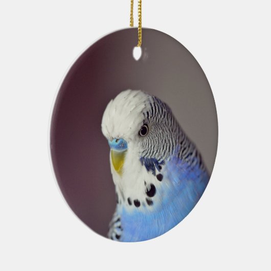  Blue Budgie Photo Ceramic Ornament (Rechts)