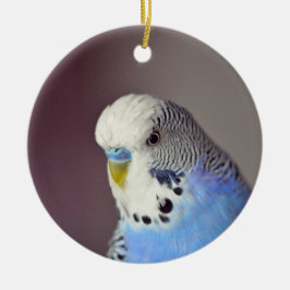 Blue Budgie Photo Ceramic Ornament