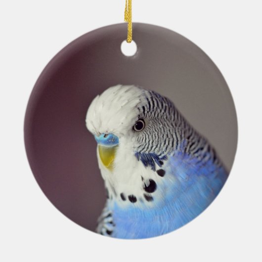  Blue Budgie Photo Ceramic Ornament (Achterkant)