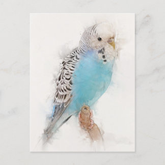 Blue Budgie Portrait Briefkaart