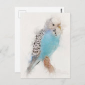 Blue Budgie Portrait Briefkaart (Voorkant / Achterkant)