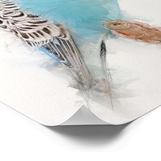 Blue Budgie Portrait Poster (Hoek)