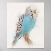Blue Budgie Portrait Poster (Voorkant)