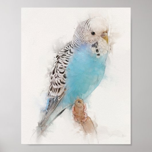 Blue Budgie Portrait Poster (Voorkant)