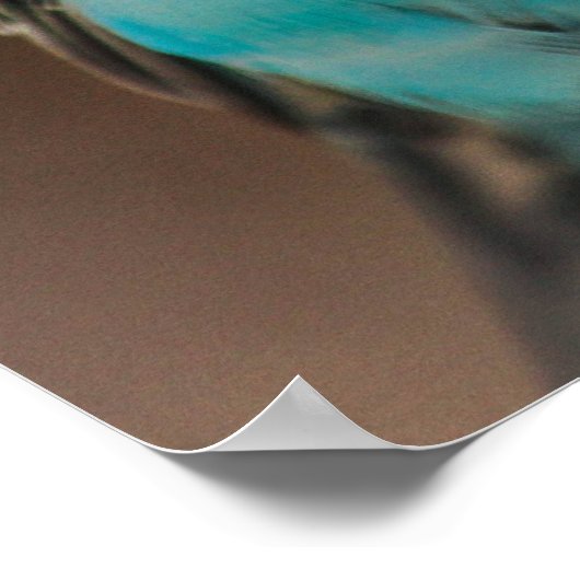 Blue Budgie Poster (Hoek)