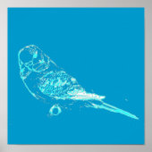 Blue Budgie Poster (Voorkant)