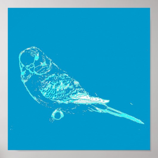 Blue Budgie Poster (Voorkant)