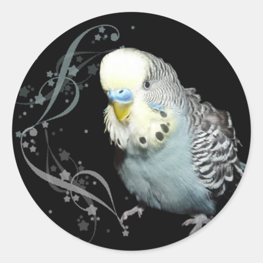 Blue budgie sticker (Voorkant)