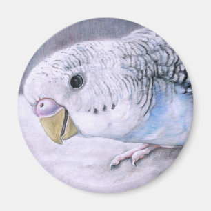 "Blue Budgie" Vogelkunstmagneet Magneet