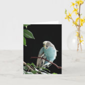 Blue Budgie Wenskaart, Parakeet Wenskaart Kaart (Gele Bloem)