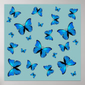 Blue butterflips poster (Voorkant)