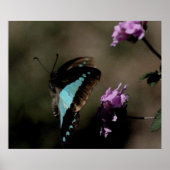Blue Butterfly Abstract Poster (Voorkant)