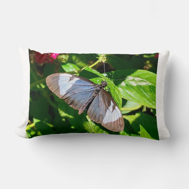 Blue Butterfly Afbeelding Pillow Kussen (Voorkant)