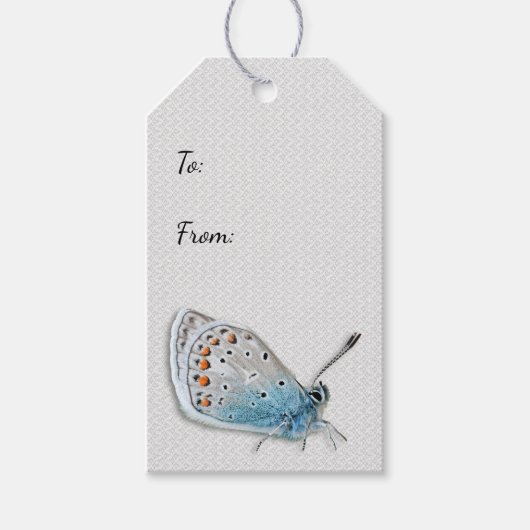Blue Butterfly All Occasion Cadeau Label Cadeaulabel (Voorkant)