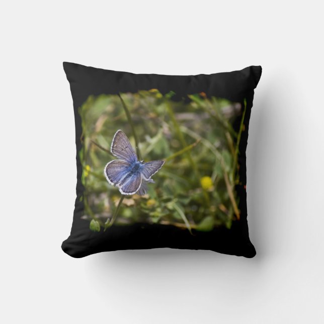 Blue Butterfly Black Edge Kussen (Voorkant)