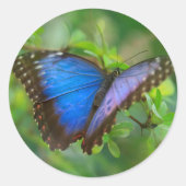 Blue Butterfly Classic Ronde Sticker (Voorkant)