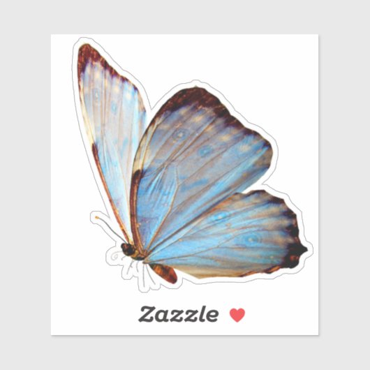 Blue Butterfly Decorative Custom Vinyl Sticker (Vel)