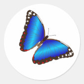 Blue Butterfly Envelope Seals Stickers (Voorkant)
