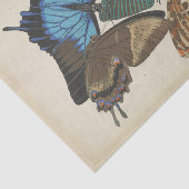 Blue Butterfly Ephemera Decoupage Script T Tissuepapier (Detail)