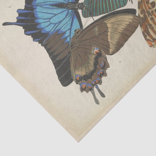  Blue Butterfly Ephemera Decoupage Script T Tissuepapier (Detail)