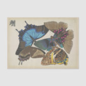  Blue Butterfly Ephemera Decoupage Script T Tissuepapier (Voorkant)