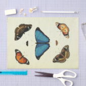  Blue Butterfly Ephemera Decoupage Script T Tissuepapier (Craft)