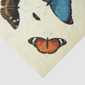  Blue Butterfly Ephemera Decoupage Script T Tissuepapier (Detail)