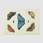 Blue Butterfly Ephemera Decoupage Script T Tissuepapier (Voorkant)