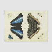 Blue Butterfly Ephemera Decoupage Script Tissuepapier (Voorkant)