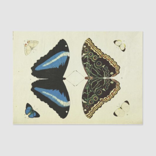  Blue Butterfly Ephemera Decoupage Script Tissuepapier (Voorkant)