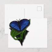 Blue Butterfly Heart Briefkaart (Voorkant / Achterkant)