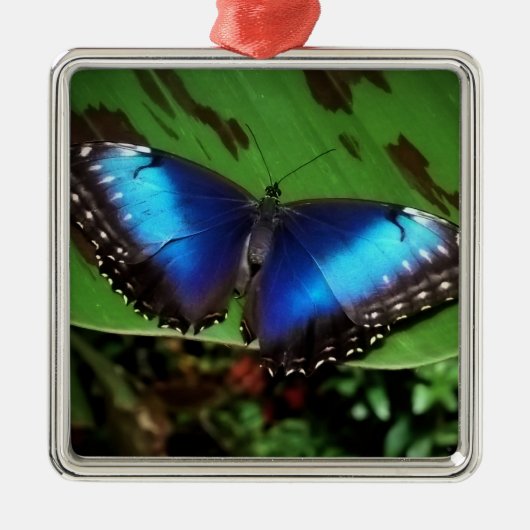 Blue Butterfly-kerstversiering Metalen Ornament (Voorkant)