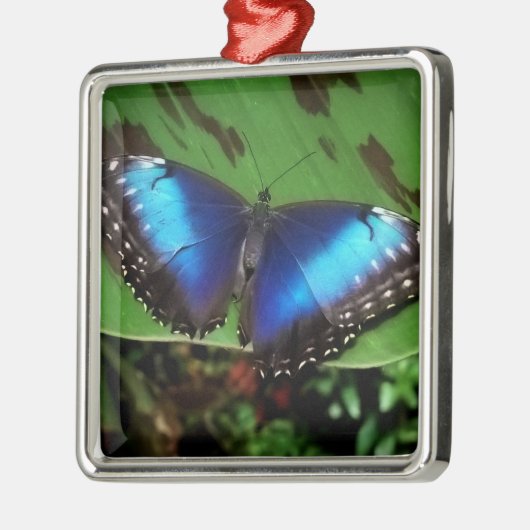 Blue Butterfly-kerstversiering Metalen Ornament (Links)