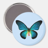 Blue Butterfly Magnet (Voorkant / Achterkant)
