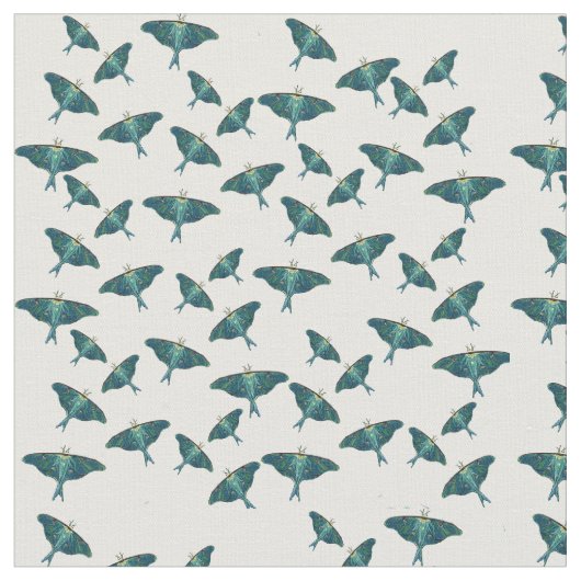 Blue Butterfly Moth Stof (Close Up)