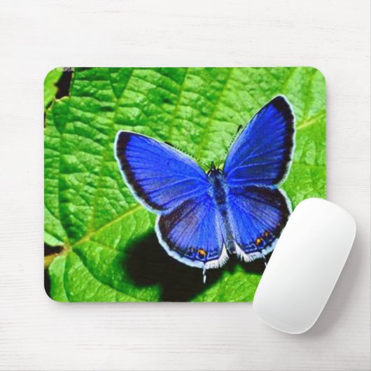 Blue Butterfly Mousepad Muismat (Met muis)