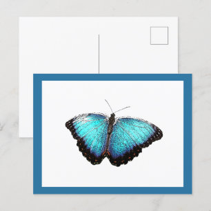 Blue Butterfly Natuur Art, Fijne Fotoillustratie Briefkaart