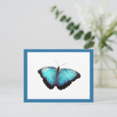 Blue Butterfly Natuur Art, Fijne Fotoillustratie Briefkaart (Staand voorkant)