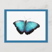 Blue Butterfly Natuur Art, Fijne Fotoillustratie Briefkaart (Voorkant)