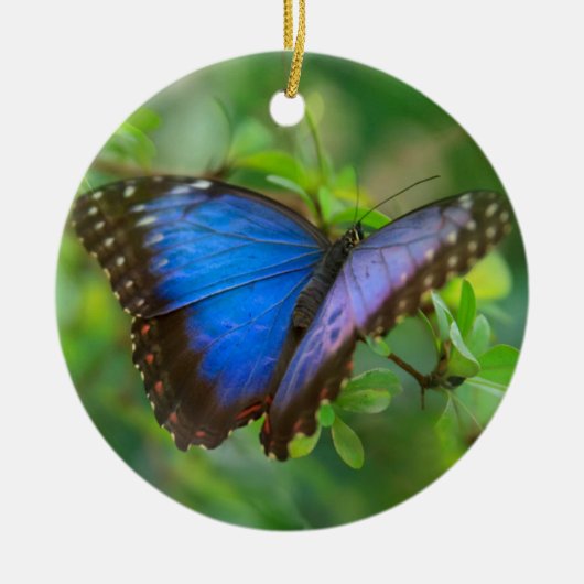 Blue Butterfly-Ornament Keramisch Ornament (Voorkant)