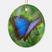 Blue Butterfly-Ornament Keramisch Ornament (Links)