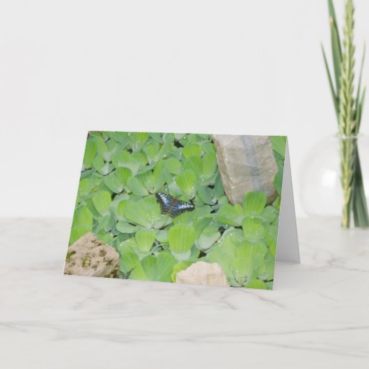 "Blue Butterfly" Pasen Kaart (Voorkant)