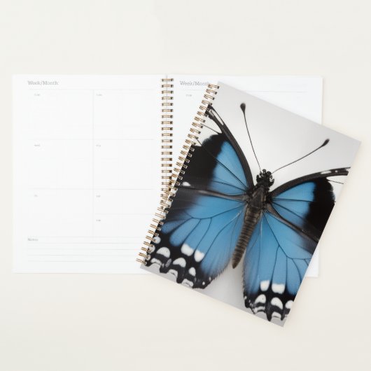 Blue butterfly planner (Display)