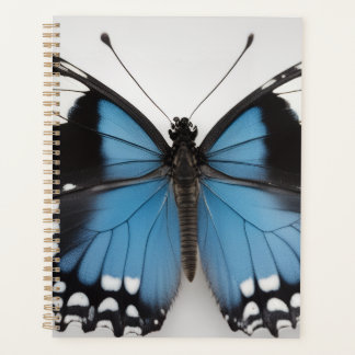 Blue butterfly planner