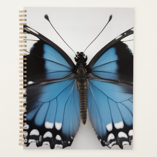 Blue butterfly planner (Voorkant)